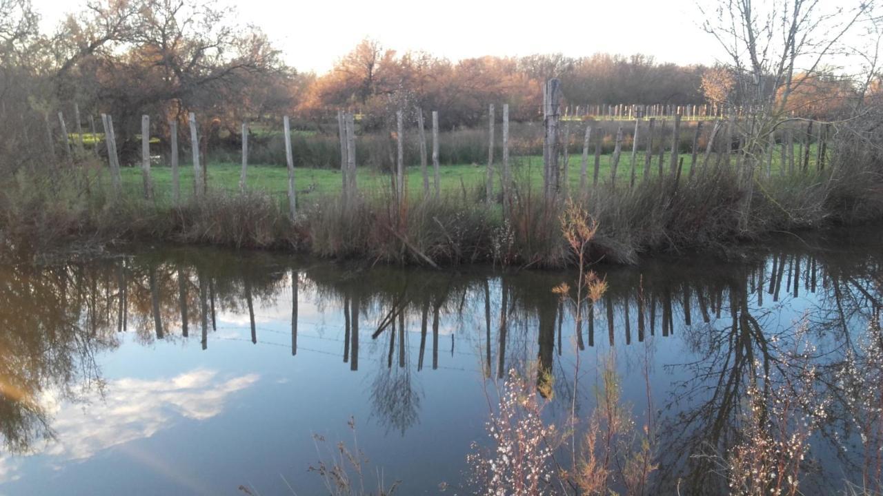 Nostal'Gite Lansargues Exterior foto